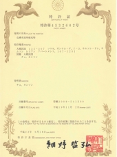 日本专利证